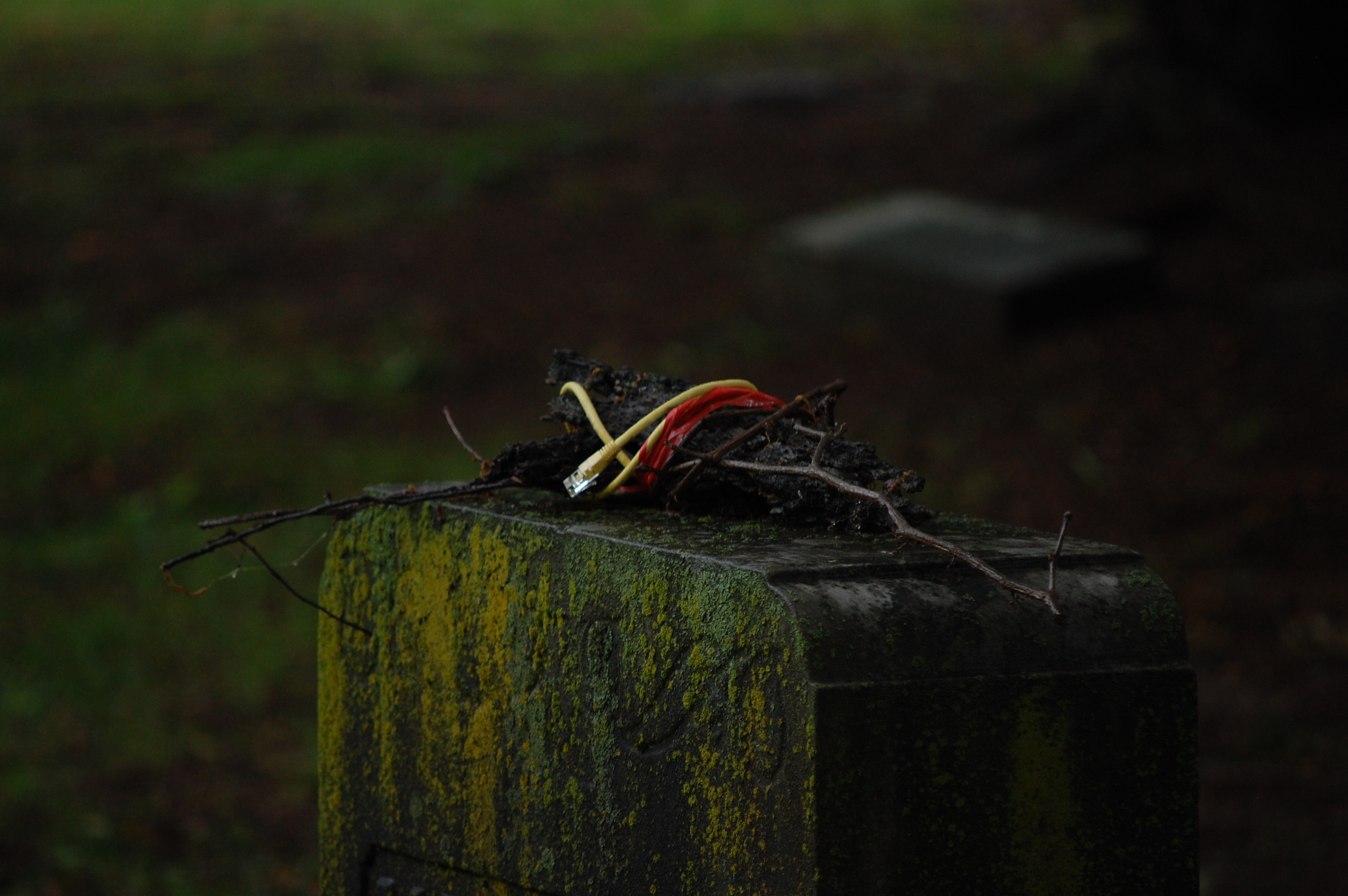 ethernet offering on top of a gravestone