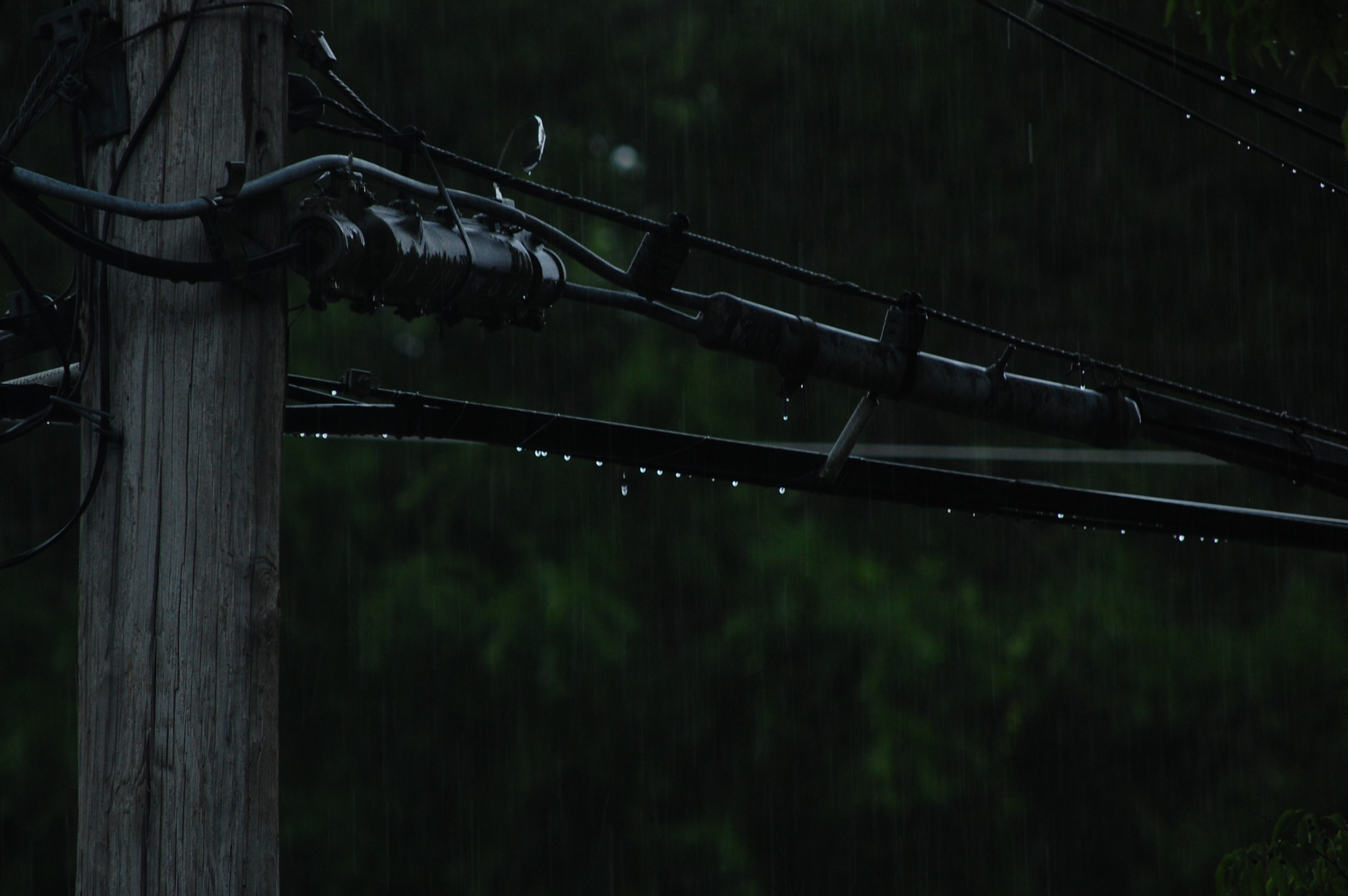 rain soaked cable terminal